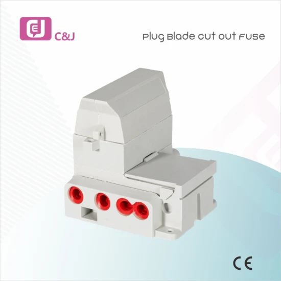 Wholesale Price 1p 100A 60A Electrical Plug Blade Cut out Fuse